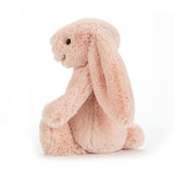 Bashful Bunny