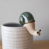 Climbing Snail Pot Hanger