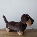 Otto Sausage Dog