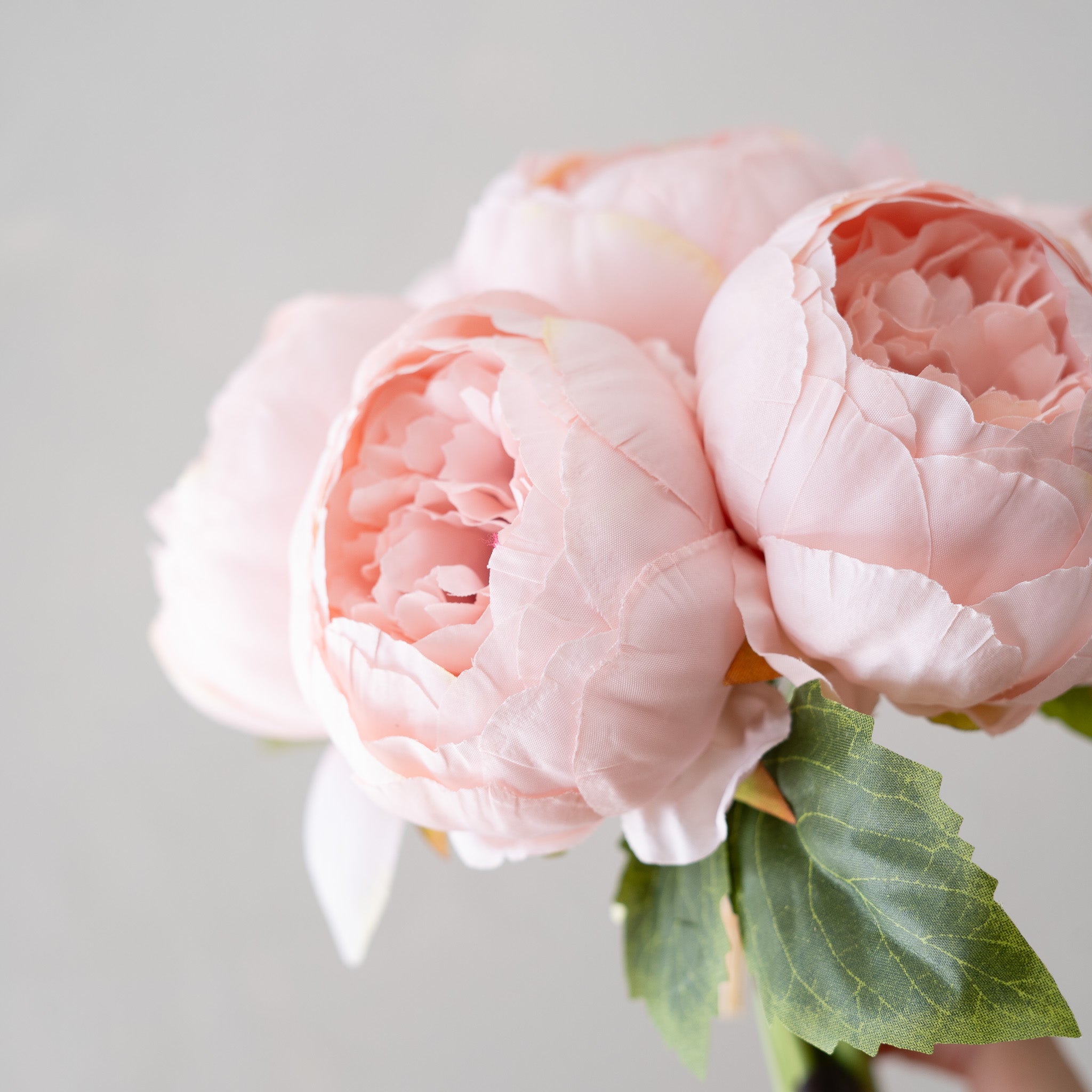 Full Peony Bouquet