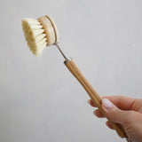 Dish Brush with Replaceable Head