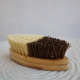 Vegetable & Fruit Cleaning Brush