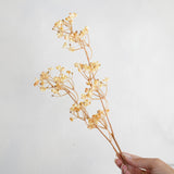 Baby's Breath Floral Spray