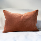 Vera Velvet Pillow