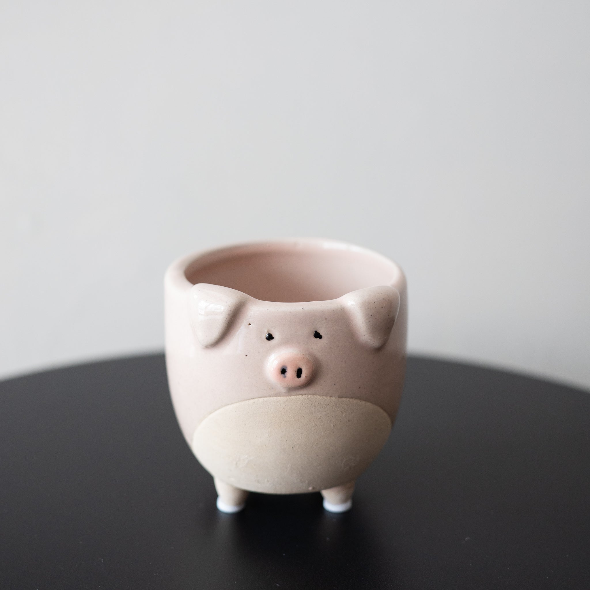 Pig on Legs Planter