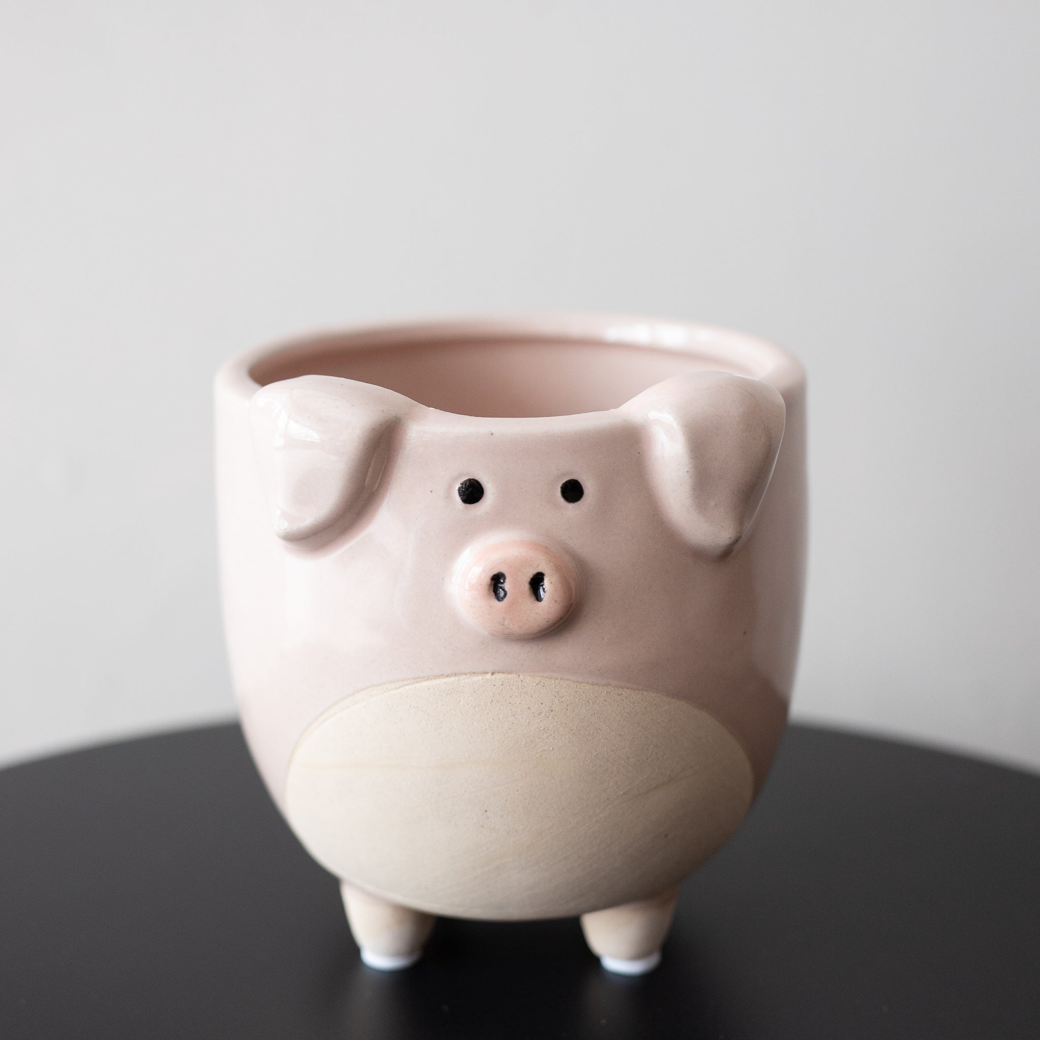 Pig on Legs Planter