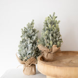 Faux Frosted Pine Tabletop Tree