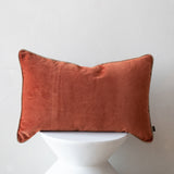 New Delhi Decorative Pillow